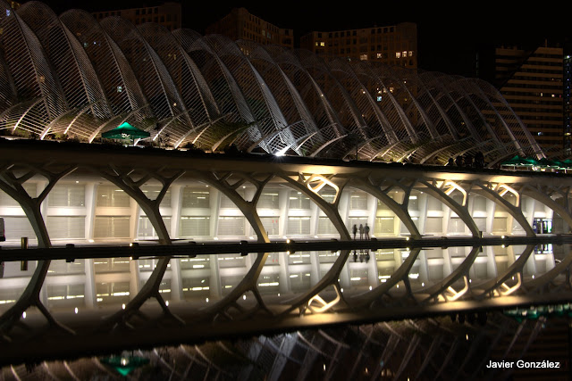  Ciudad de las Artes y las Ciencias de Valencia. España