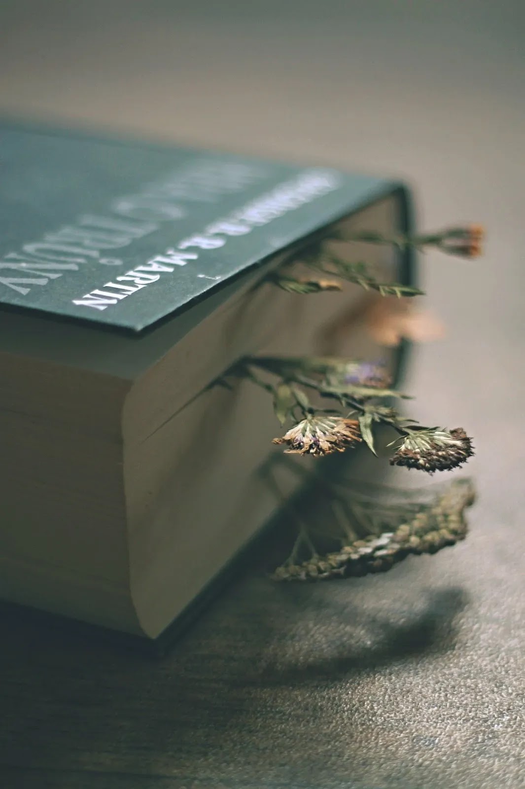 خلفيات كتب وورد والكتب أجمل خلفيات الكمبيوتر