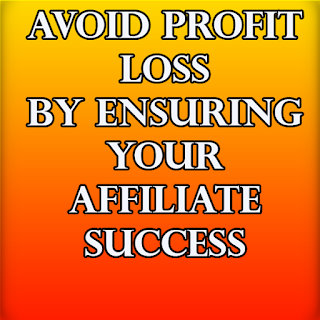 Avoid Profit Loss By Ensuring Your Affiliates' Success!