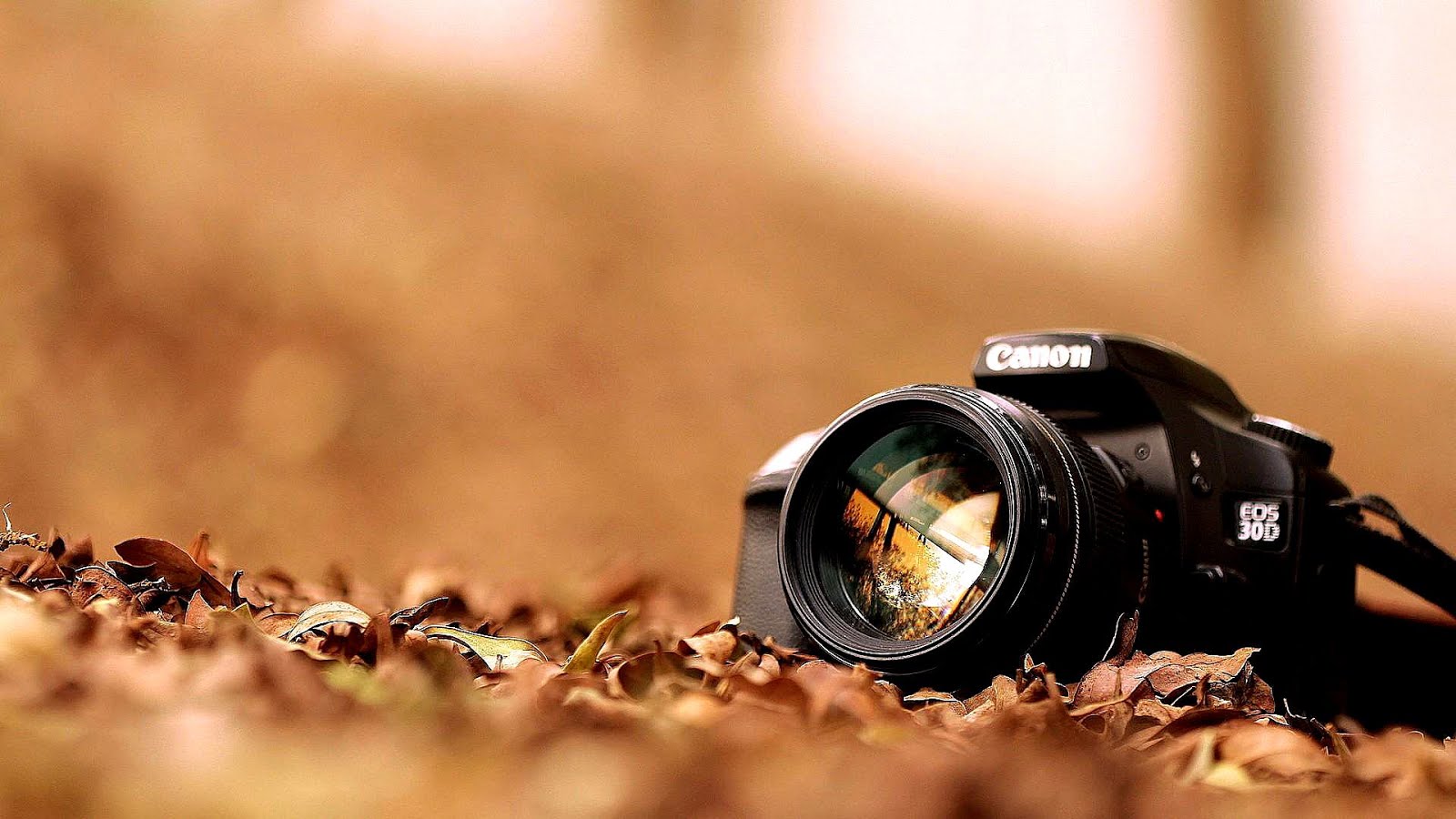 Rio Americano High School Photo - Photo Choices Rio Americano High School Photo - Photo Choices