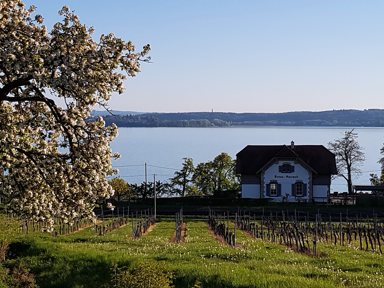 Kustenkidsunterwegs Urlaub Mit Kindern Tolle Aussichten Am Bodensee