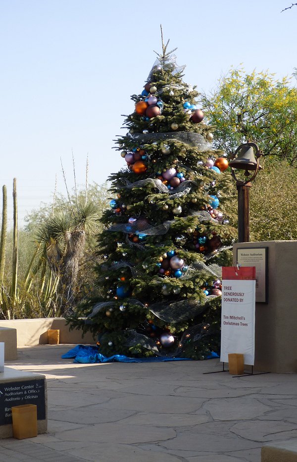 Kittling Books December at the Desert Botanical Garden
