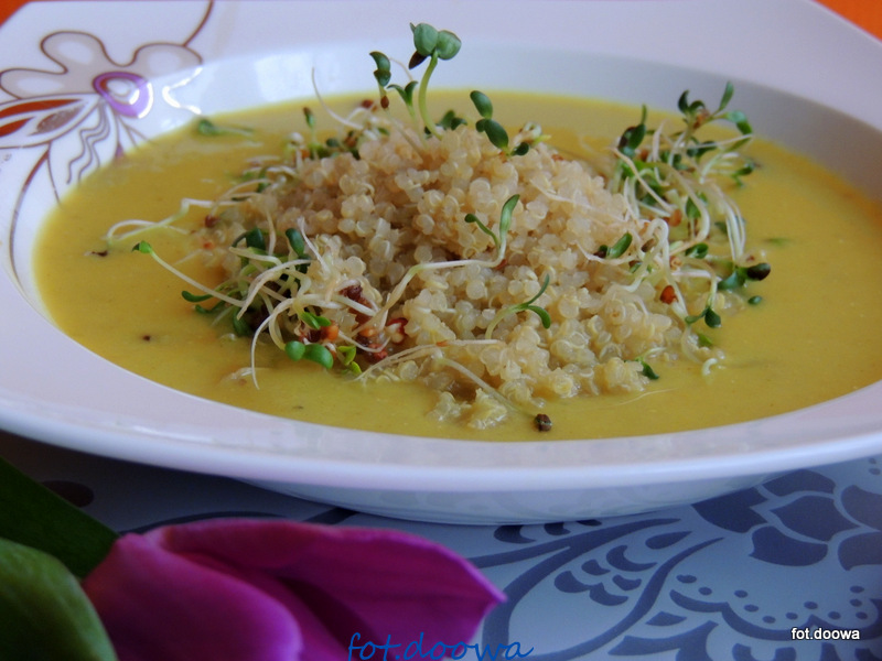 Zupa krem z pasternaku z komosą ryżową Moje Małe Czarowanie Dorota