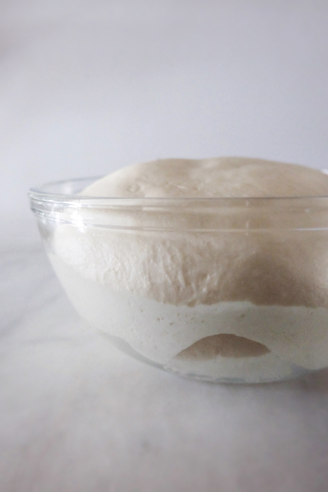 view of first rise dough in glass bowl