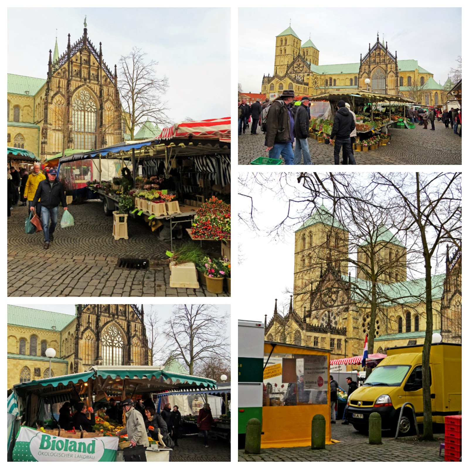 7b2d9e36c5 D57e 4359 Ea9c C90916aa2458 7d By Aimcom Brands