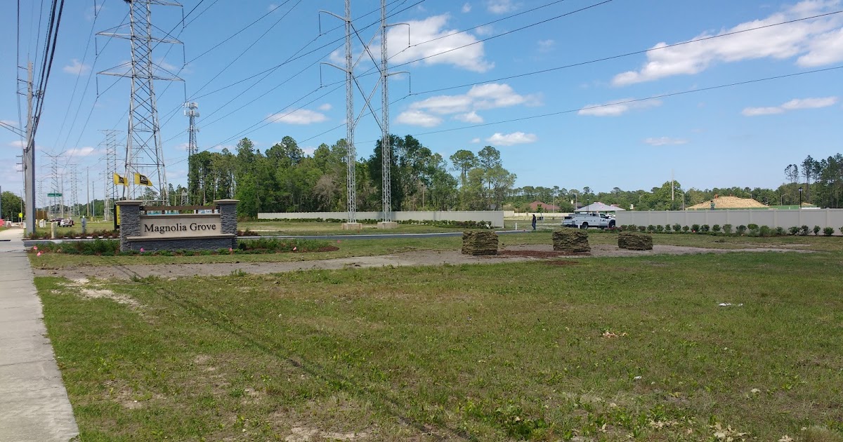 New Jax Witty Arlington Renewal Reality Check