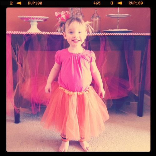 a champagne dream: A Tutu Party for my Two Year Old