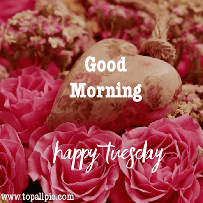 good morning tuesday images good morning tuesday images