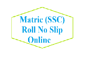 SSC Part (II) 10th Class Annual Examination 2021 Roll No Slip Download  