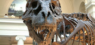 عالم الديناصورات الجزء الثالث كيف_انقرضت_الديناصورات_عن_الأرض