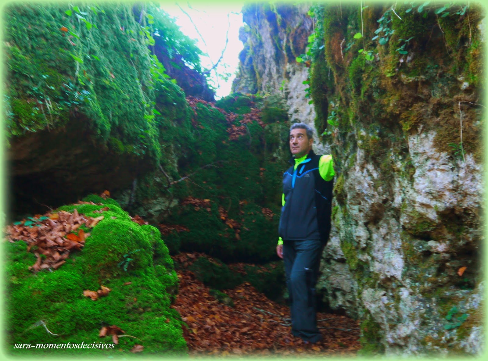 MOMENTOS DECISIVOS BOSQUE ENCANTADO DE ARTEA EN LARRAONA