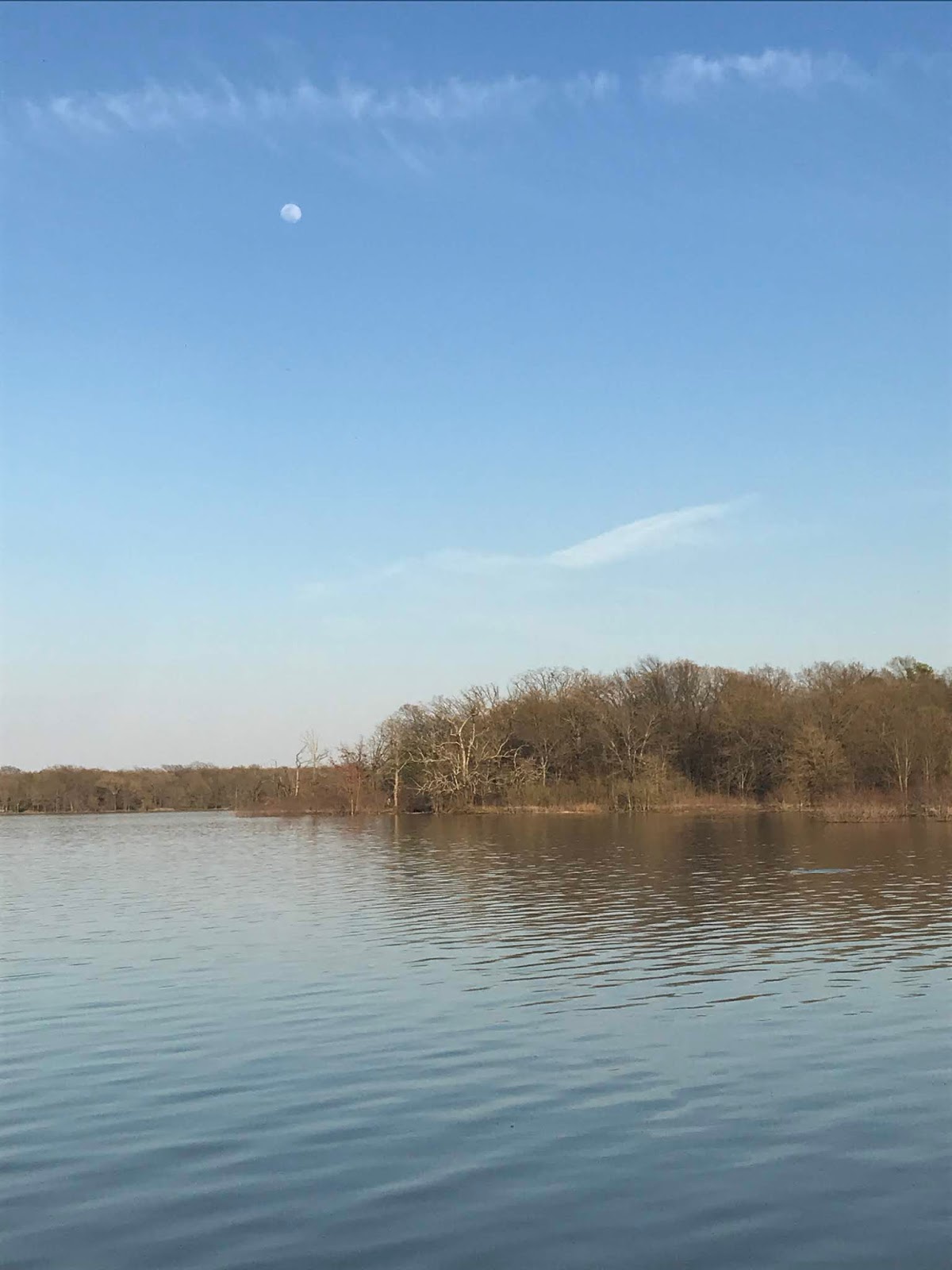 Texas State Parks and Travel Tour Cooper Lake State Park, 3/16/19 3