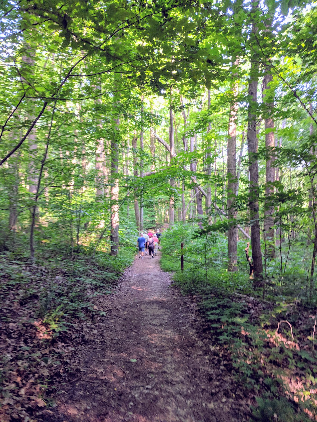 Spencer, IN McCormick's Creek State Park, Old State House Quarry