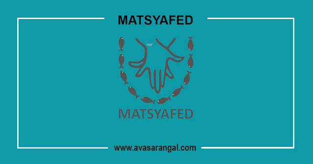 MATSYAFED JOB vacancy 2020 │ 37 MT & Other Vacancies.