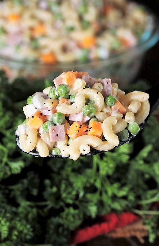 Ham & Cheese Macaroni Salad The Kitchen is My Playground