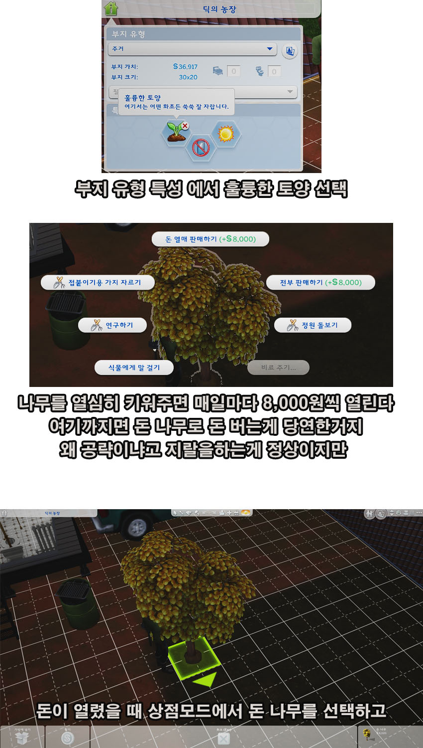 [심즈4] 시작할려는 중붕이들 진짜 치트없이 돈버는 꿀팁.Tip - 중세게임 마이너 갤러리