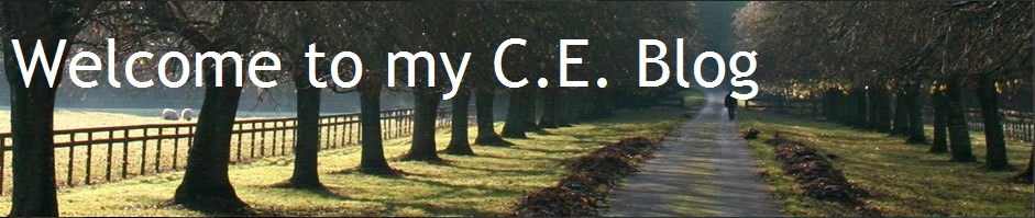 Welcome to my C.E. Blog