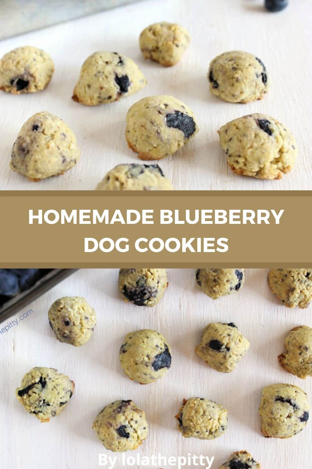 Top 10 Homemade Dog Treats Recipes