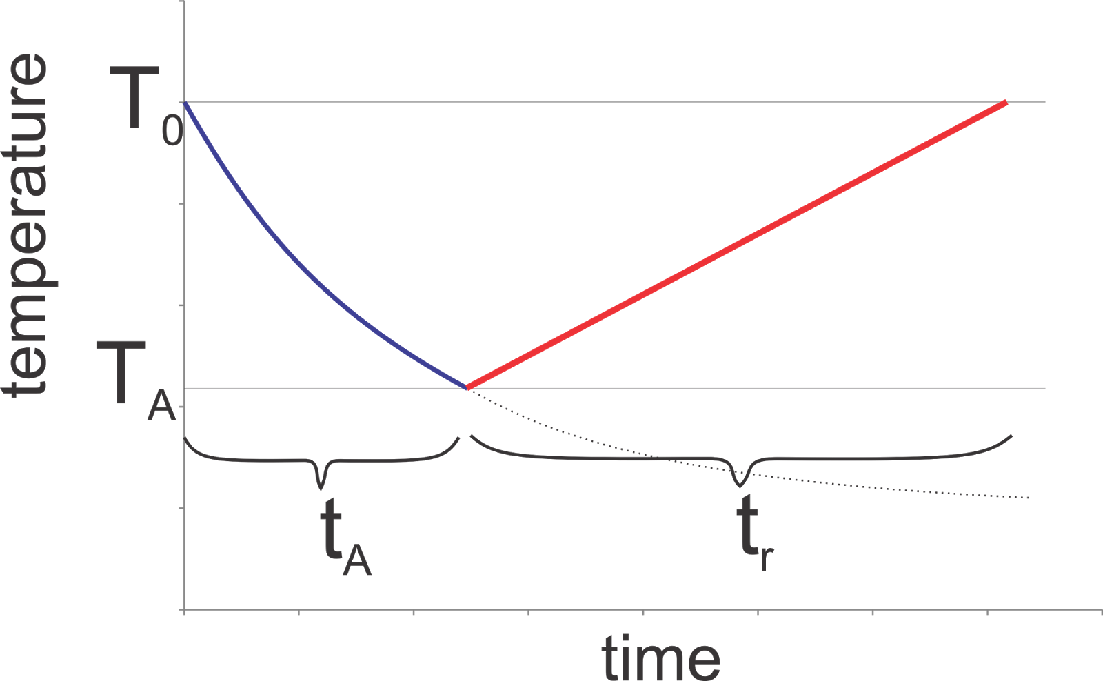 Heat Transfer and Applied Thermodynamics How Long Should I Wait to Shower?