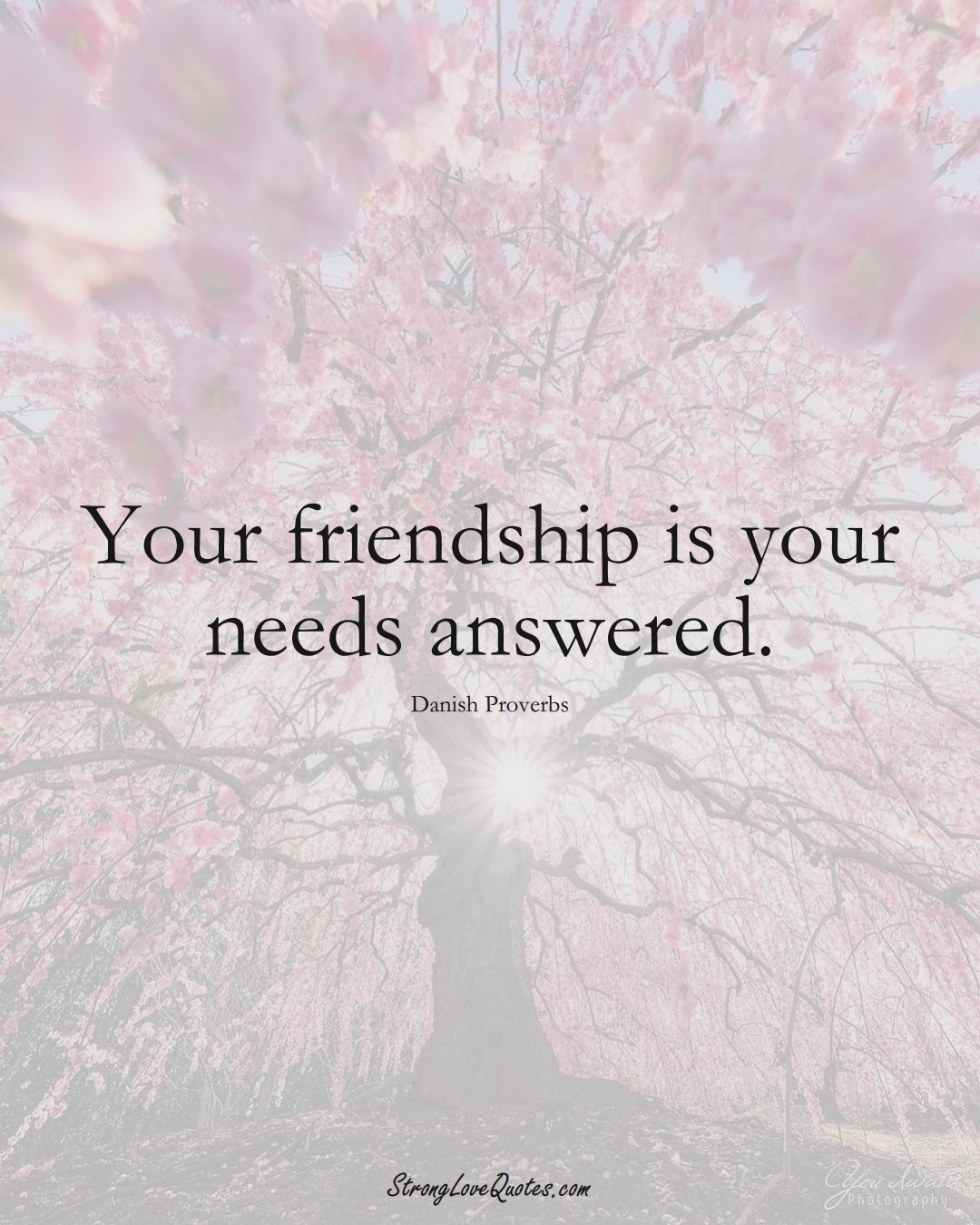 Your friendship is your needs answered. (Danish Sayings);  #EuropeanSayings