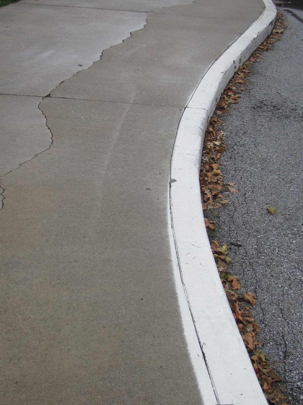 Speedway Daily Photo Curve/Curb