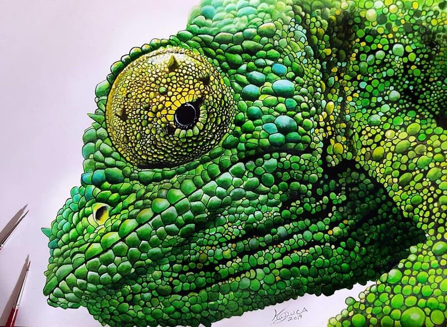 This Artist Transforms Human Hands Into All Kinds Of Animals »  TwistedSifter