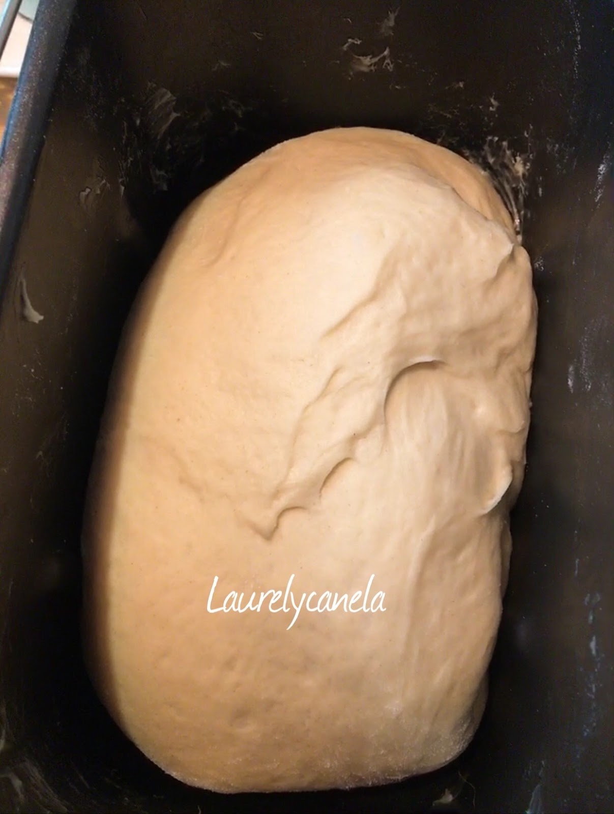 Receta Brioche en panificadora Lidl Mis Recetas Caseras