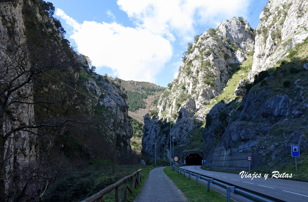 Senda del oso, Asturias