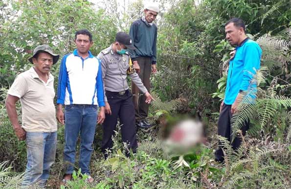 kambing ditemukan mati di Tigo Balai