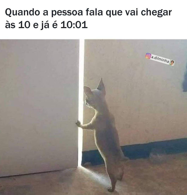 Memes engraçados Memes engraçados