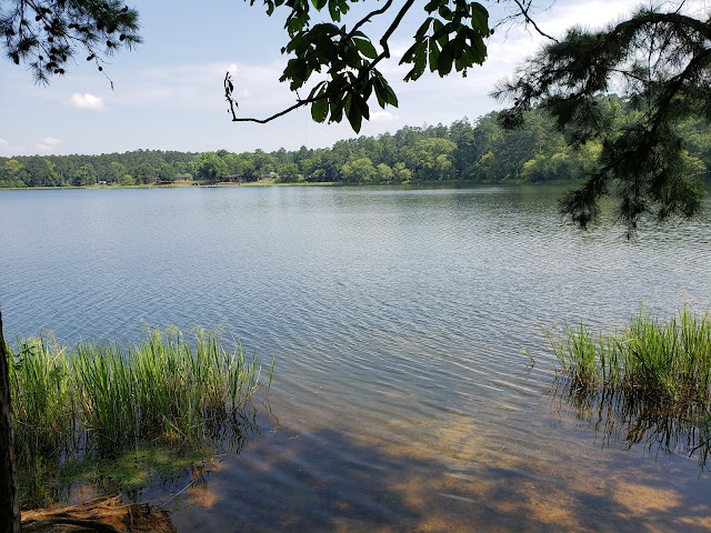 Tyler State Park @ 1gr8vacation.com tyler state park waterfall, tyler state park map, tyler state park trail map, tyler state park fishing, tyler state park trails, tyler state park cabins, things to do tyler state park, tyler state park rentals, camper, rv, state park