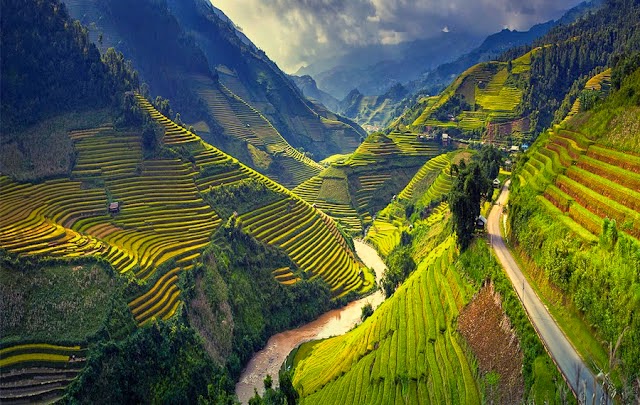 Bikin Mata Melek Keindahan Panorama Sawah Di Vietnam Ini 