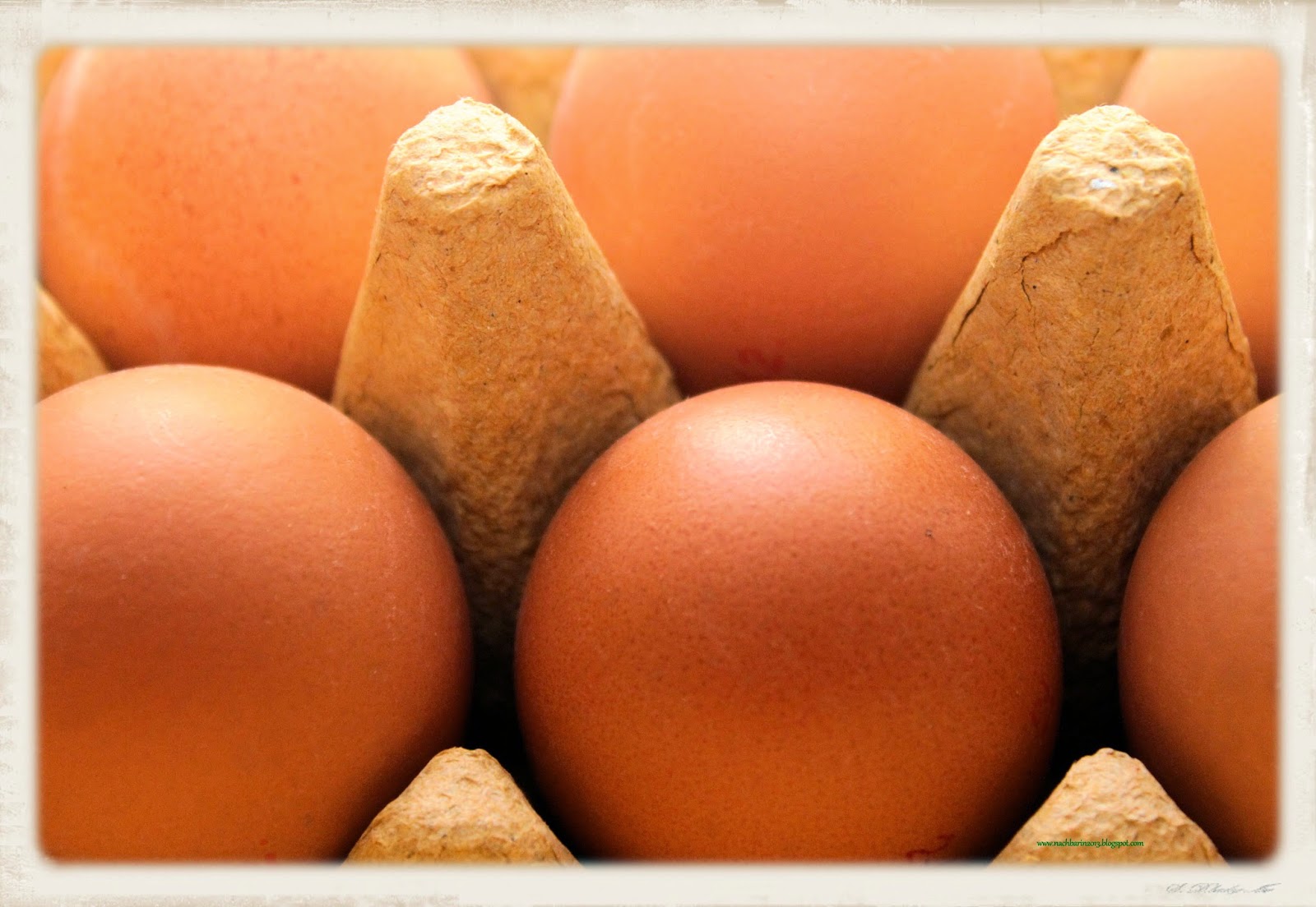 Die lästige Nachbarin: Kochen &amp; Backen mit Eiern (Küchentipps)