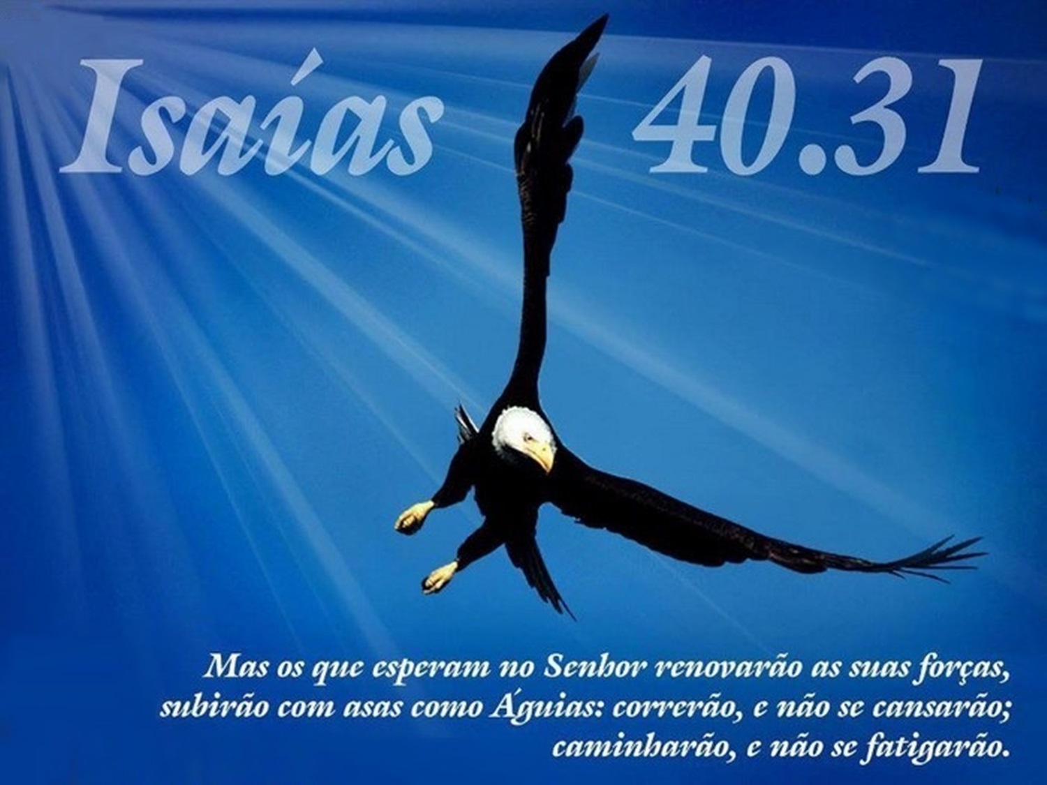 B blia Sagrada Em Imagens Dezembro 2015 B blia Sagrada Em Imagens Dezembro 2015