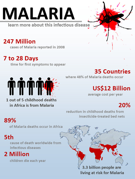 Malaria infographic