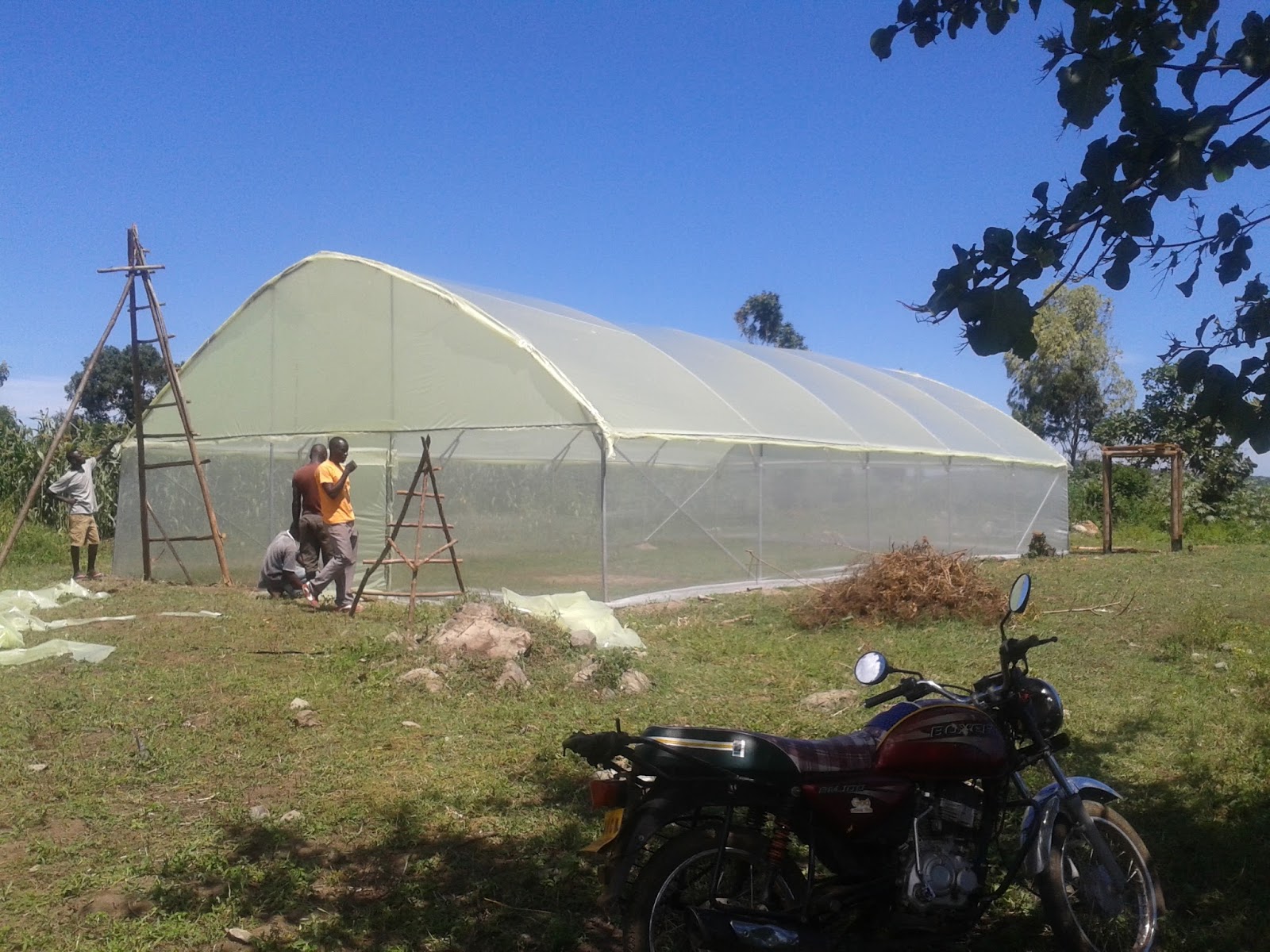 QUALITY AND AFFORDABLE GREENHOUSES FOR KENYA