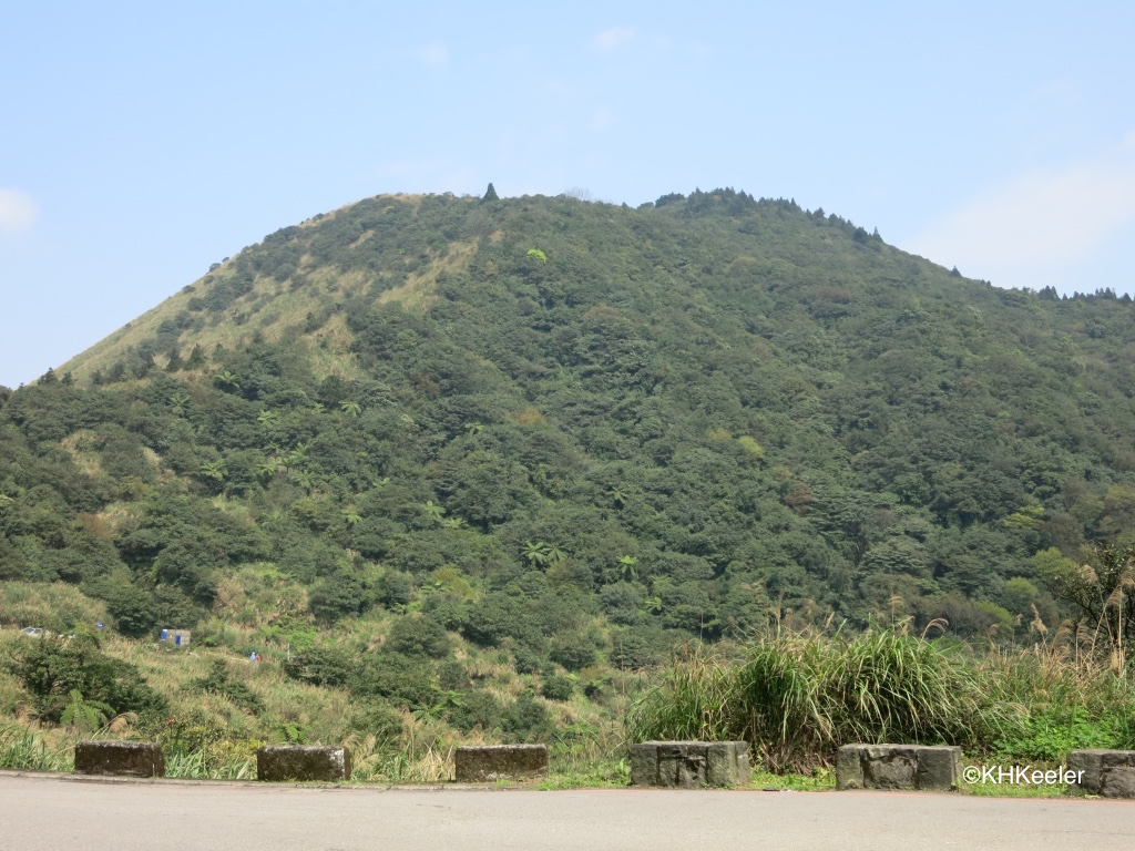 A Wandering Botanist: Visiting Taiwan--Wild is Close By