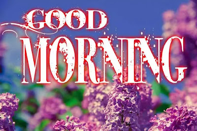 Good Morning Images Good Morning Images