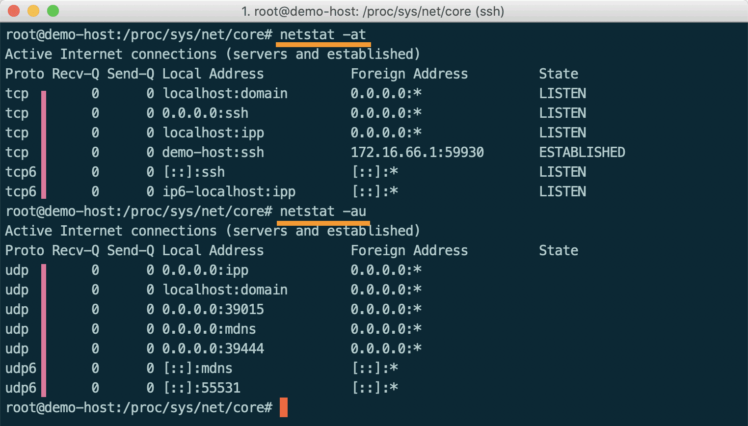 顯示TCP或UDP連線