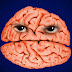 Science Explains How Complaining Is Negatively Altering Your Brain