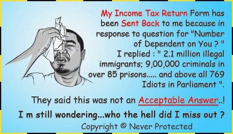 Funny story on Income Tax return