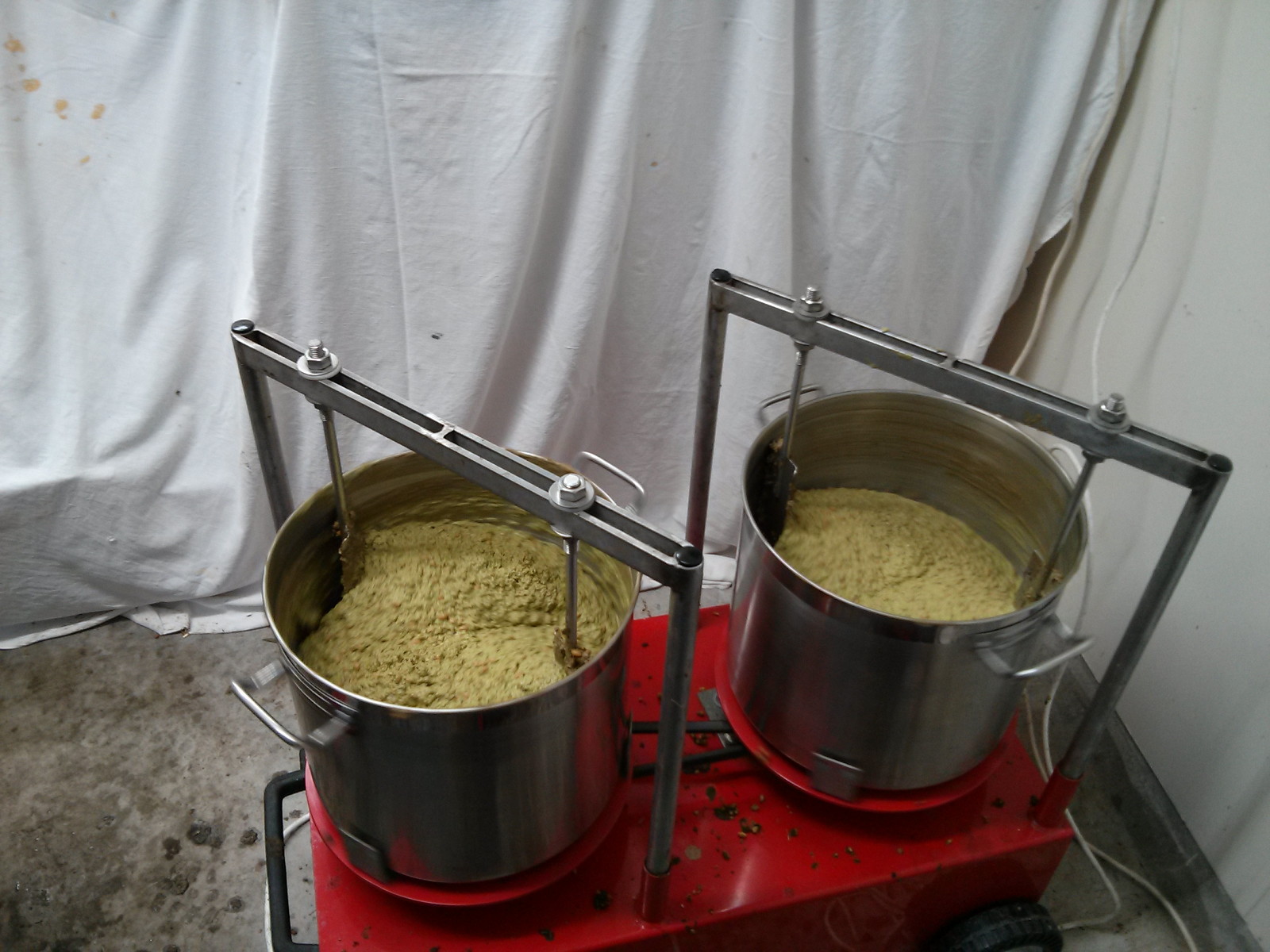 Adventures in New Zealand Olive pressing