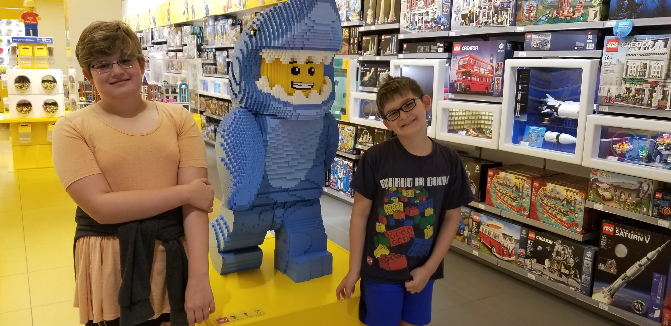 Girl Meets Brick FUN STUFF New Lego Store In Albany, NY
