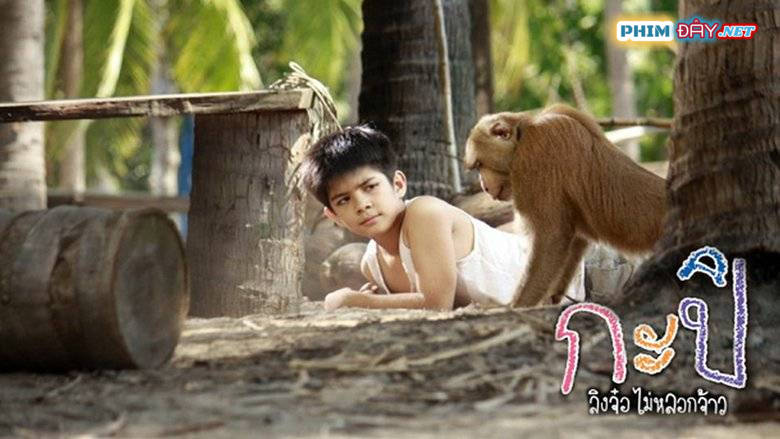 Chú Khỉ Kapi - Kapi (2010)