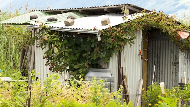 Old garden shed near Hurden Fishing Village on a half-day trip from Zurich by train