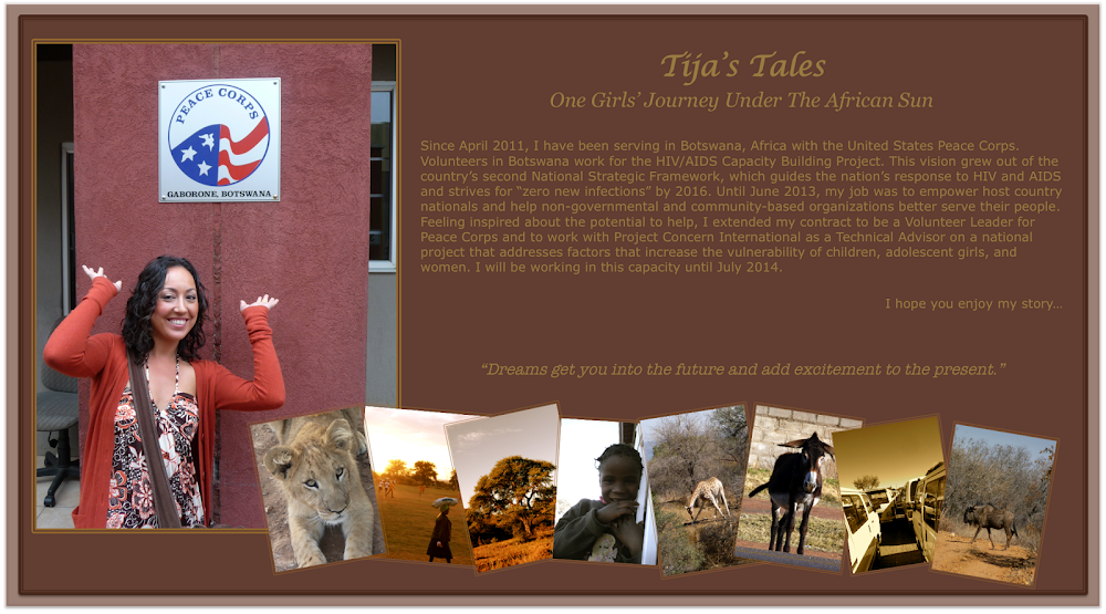 Tija's Tales: One Girls' Journey Under the African Sun