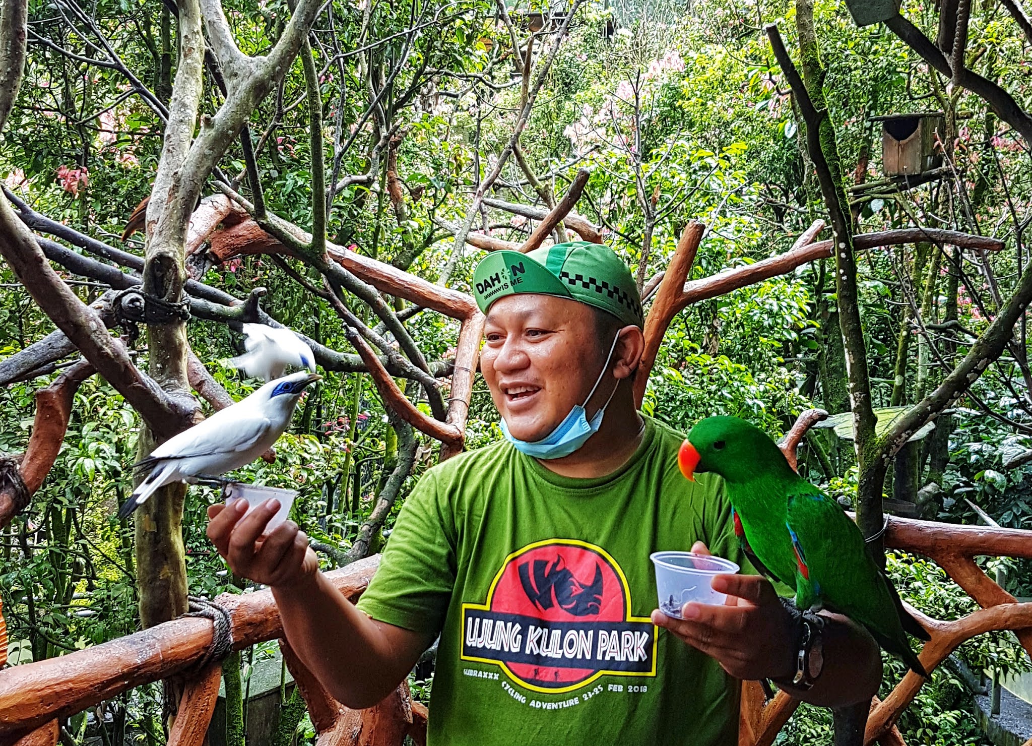 Gambar bird aviary