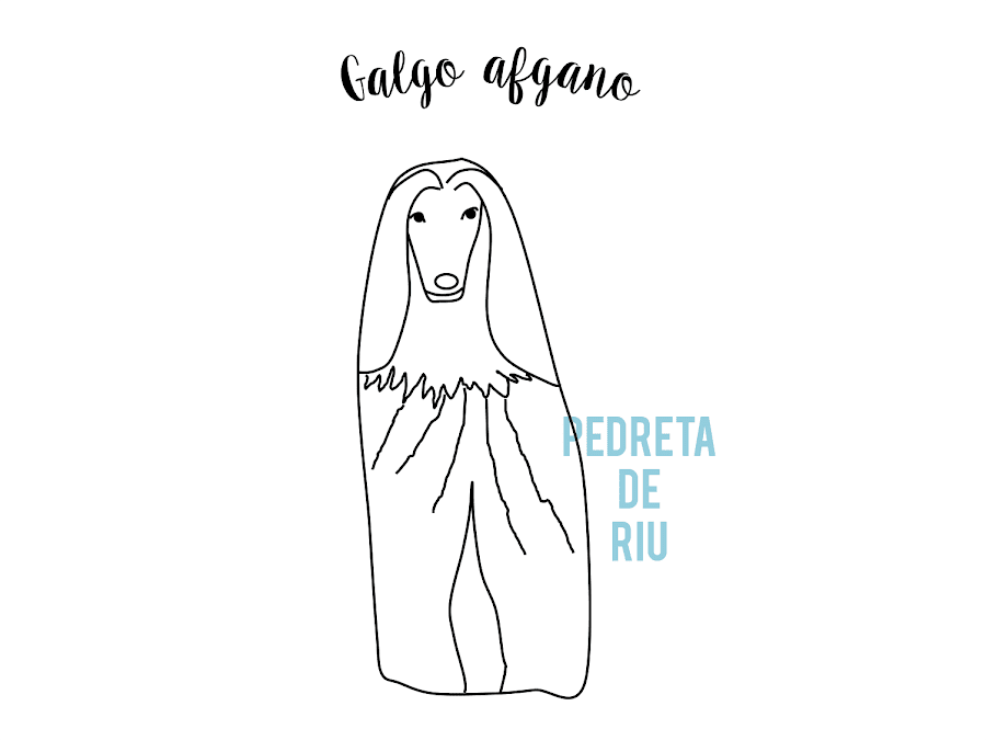 COMO PINTAR PIEDRAS CON GALGO AFGANO