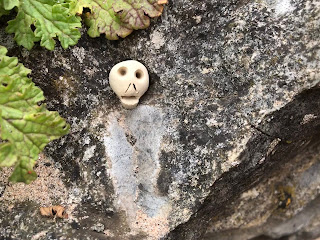 Skulferatu #38 on rock by Torness Point - picture shows small, clay skull on a rock.  Photo by Kevin Nosferatu for the Skulferatu Project