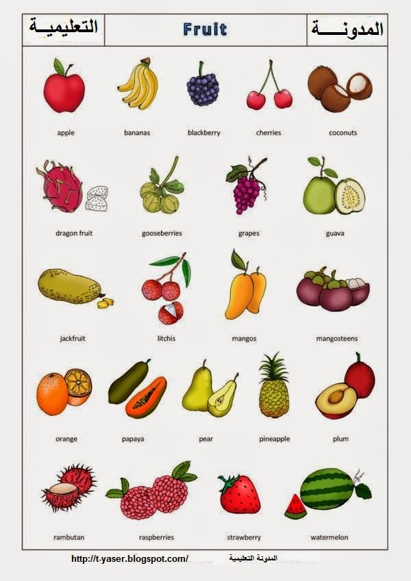 المدونة التعليمية Fruit in English الفواكه بالانجليزي